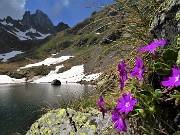 Laghi di Ponteranica-Monte Avaro ad anello dai Piani Avaro il 15 giugno 2021  - FOTOGALLERY